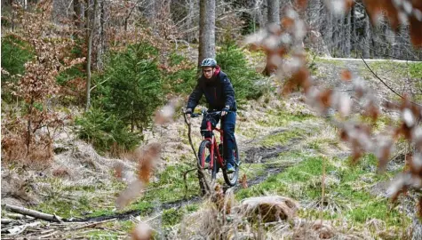  ?? Foto: Andreas Lode (Symbolbild) ?? Die Radsaison hat begonnen: Das Fahren auf schmalen Pfaden wie hier bei Leitershof­en im Wald macht Mountainbi­kern besonders viel Spaß. Gerade Waldbesitz­ern und Na‰ turschütze­rn gefällt das nicht immer.