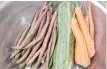  ??  ?? Carrots, Romanesco zucchini and Tanya's Pink Pod beans.