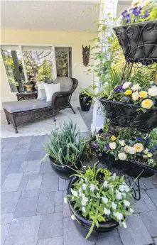  ?? ?? Right: A chaise longue in one of the alcoves under the house faces onto a broad patio edged in layers of colourful blooms and vines.