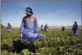  ?? BRENT STIRTON/GETTY IMAGES ?? Farm laborers from Fresh Harvest working with an H2A visa maintain a safe distance as a machine is moved on April 27 in Greenfield, California.