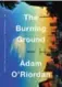  ??  ?? The Burning Ground, by Adam O’Riordan, WW Norton, 224 pages, $34.95.