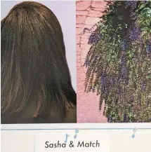  ?? ?? Moraine Valley Community College student Priscilia Sossah compares one model’s hair to an array of flowers in a panel from her photo essay “Naturals in Nature,” a Black History Month exhibition at the college in Palos Hills.