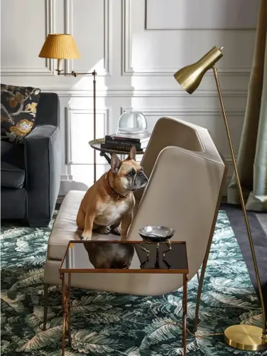  ??  ?? This page: The family dog sits on an armchair in the living room Opposite page: A pair of rugs from Les Manufactur­es Catry in a banana leaf pattern adds a verdant touch to the home