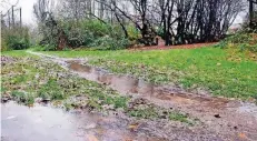  ?? RP-FOTO: ACHIM BLAZY ?? Der Dauerregen der vergangene­n Tage hat den Wegen in diesem Grünzug stark zugesetzt. Die turnusmäßi­ge Sanierung steht für 2018 an.