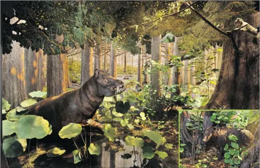  ??  ?? A hippo- like coryphodon feeds in the midst of a lush Ellesmere Island rainforest in an artist’s rendering of Eocene Arctic life 40 million years ago.