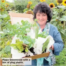  ??  ?? Pippa Greenwood with a box of plug plants.