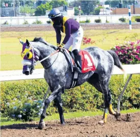  ?? ANTHONY MINOTT ?? Duke, with Robert Halledeen aboard.