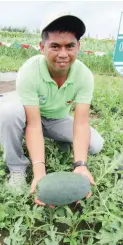  ??  ?? ORANGE DELIGHT is a new watermelon variety from East-West Seed that was showcased at the recent Atisco Harvest Festival in Tanauan City. The fruit has orange flesh that is sweet and juicy. Its medium size of 2 to 3 kilos makes the fruit saleable in the...