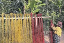  ?? ANDREW EVANS TNS ?? A woman dyes river reeds near the shores of the Mekong River. Once dry, they will be woven into sleeping mats often shared by families.