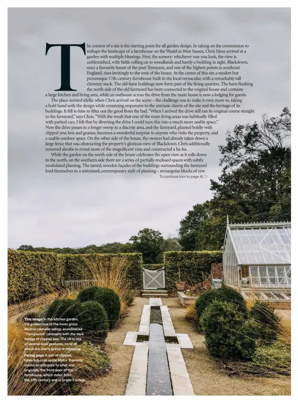  ??  ?? This image In the kitchen garden, the golden hue of the moor grass Molinia caerulea subsp. arundinace­a
‘Transparen­t’ contrasts with the dark foliage of clipped box. The rill is one of several axial gestures, none of which are overly grand or imposing. Facing page A pair of clipped, table-top,crab apple Malus ‘Evereste’ create an entrance to what was originally the front door of the farmhouse, which dates from the 17th century and is Grade II listed.