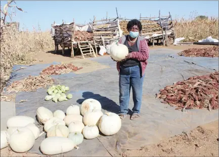  ?? Photo: Nampa/File ?? Growing… Martha Alweendo, a farmer in the area of Okorusu.