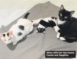  ?? ?? Misty with her two mums Cassie and Sapphire