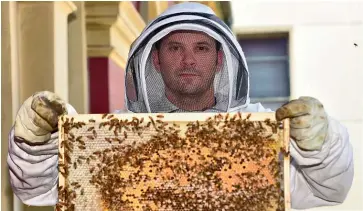  ??  ?? The number of beekeepers in New South Wales has more than doubled in the past decade.