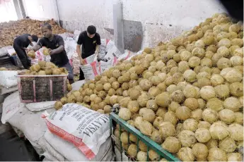  ?? – Bernama photo ?? Joel’s employees sort through the coconuts at his shop. Some 50,000 coconuts have already been ordered by customers from various states and even overseas.