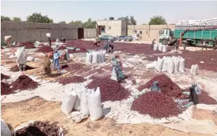  ?? ?? Habiscus processing company in Kano