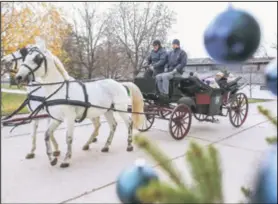  ??  ?? Neki su, poput Roka, radije odabrali kočiju jer više vole kada ih drugi voze