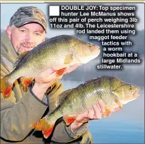  ??  ?? DOUBLE JOY: Top specimen hunter Lee McManus shows off this pair of perch weighing 3lb 11oz and 4lb. The Leicesters­hire rod landed them using maggot feeder tactics with a worm hookbait at a large Midlands stillwater.