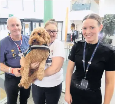  ??  ?? Pedigree event Agnes the labradoodl­e with Alex Watt and Alexandra Day-Watt of Help for Heroes and PC Katie Edwards