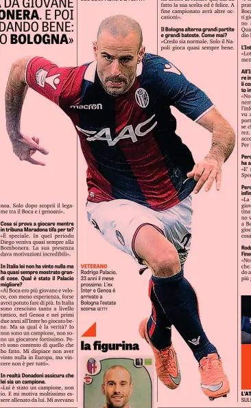  ??  ?? VETERANO Rodrigo Palacio, 33 anni il mese prossimo. L’ex Inter e Genoa è arrivato a Bologna l’estate scorsa GETTY