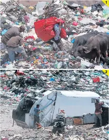  ?? FOTOS: ALEX PÉREZ ?? (1) La mayor cantidad de desechos son residuos orgánicos. (2) Al botadero llegan a diario 840 toneladas de basura.