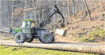  ?? FOTO: SIMON SCHNEIDER ?? Die Baumfällar­beiten auf dem Radweg zwischen Mühlheim und Fridingen dauern einige Woche an.