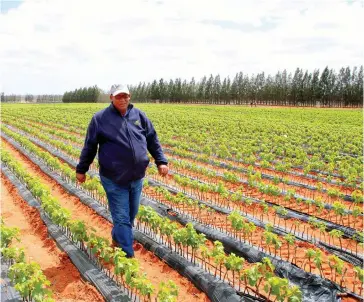  ??  ?? WINNER: Hermanus Bienas, assistant manager at the Kys Nursery in Vredendal, has been named the winner of the 2017 Western Cape Prestige Agri Worker Awards.