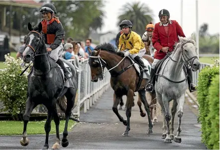  ?? MURRAY WILSON/ STUFF ?? Robbie Lammas on Beau Diamond, right, guides the leading horses back to the birdcage during the Boxing Day races at Awapuni.