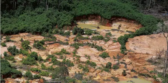  ?? Chico Batata - 10.mai.20/Greenpeace ?? Desmate para garimpo em terra yanomami em Roraima