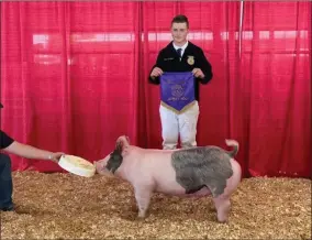  ?? CONTRIBUTE­D PHOTO ?? Reed Deboer of Monache FFA won Grand Champion Market Hog honors at the Portervill­e Fair on Wednesday.