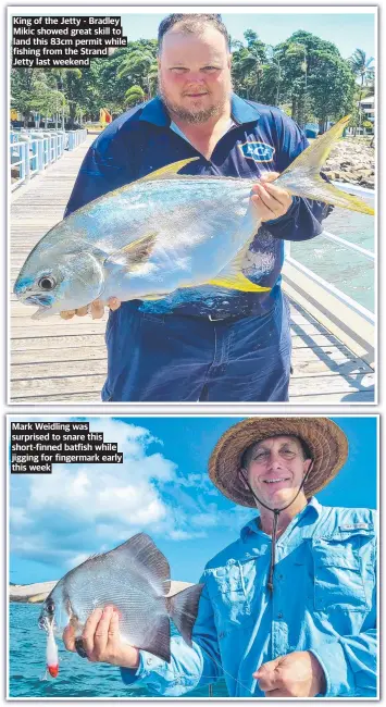  ?? ?? King of the Jetty - Bradley Mikic showed great skill to land this 83cm permit while fishing from the Strand Jetty last weekend
Mark Weidling was surprised to snare this short-finned batfish while jigging for fingermark early this week