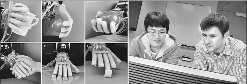  ??  ?? The soft prosthetic hand shows the ability to touch three tomatoes and choose the ripest. Zhao and Shepherd refining the robotic hand. — Cornell University photos