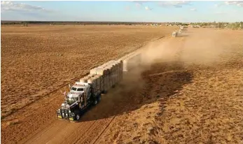  ?? PHOTO: LYNDON MECHIELSEN ?? DRY TIMES: Grain growers in New South Wales may look to turn their wheat and barley into hay crops.