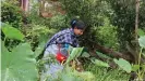  ??  ?? Marwein und ihre Familie essen Wildpflanz­en, die sie gesammelt oder im Garten gepflanzt haben