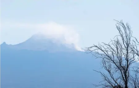  ?? /TOMÁS BAÑOS ?? La Malinche tiene unas 16 mil hectáreas de bosque