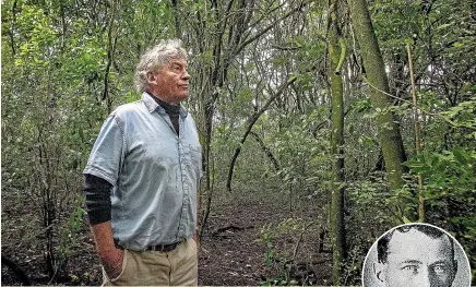  ?? WARWICK SMITH/STUFF ?? Dave Stewart amid a section of native bush restored in memory of Private Alan Greenhow.