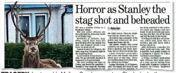  ?? ?? TRAGEDY: Last week’s Mail on Sunday report on Stanley’s death