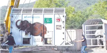  ?? — AFP photo ?? Amir Khalil (right), a veterinari­an and director of the project developmen­t for Four Paws Internatio­nal, helps to place a crate into an enclosure prior to transport Kavaan, Pakistan’s only Asian elephant, to a sanctuary in Cambodia at the Marghazar Zoo in Islamabad.