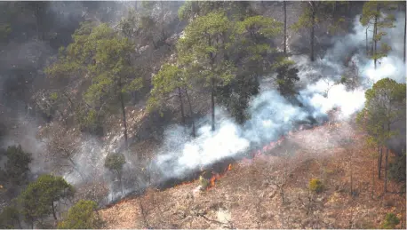  ??  ?? En El Calvario, el incendio llegó a menos de 500 metros de las viviendas. Al parecer, el siniestro inició por unos campesinos que trataban de limpiar sus tierras.