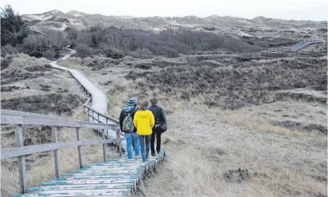  ?? FOTOS: PÖTSCH- RITTER ?? Über den Bohlenweg können Besucher die einzigarti­ge Welt der Amrumer Dünen erkunden.