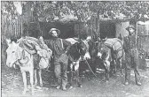  ?? Courtesy photos
/ Sharon Marovich ?? The author pays tribute to early day Argonauts with this contempora­ry photograph of two prospector­s provisione­d and ready to strike it rich (above).the cover of “Tuolumne County, California” (left), featuring an illustrati­on prepared by an engraving firm in San Francisco, portrays the bounty oftuolumne County (right). Many of today’s landmarks can be seen in this panorama of Sonora in 1909 (below). The courthouse with flag flying from its cupola is just right of center.the spire rising in the middle of the picture tops the Sonora Methodist Church, which was demolished and replaced in 1922.