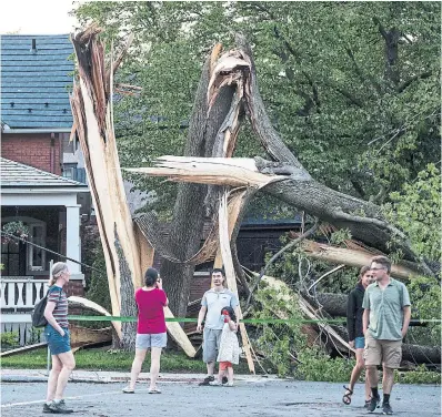  ?? JUSTIN TANG PHOTOS THE CANADIAN PRESS ?? Ottawa residents survey the wreckage from Saturday’s storm, believed to be a rare “derecho” with extremely high winds.