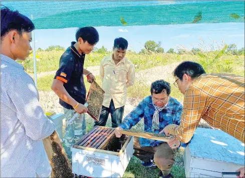  ?? ANGKOR BEE FARM ?? Angkor Bee owner Suong Noy inspects his beehives in Siem Reap in 2020.