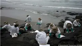  ?? ?? Emergency crews in white biosafety suits are currently working to clean up Peru's beaches