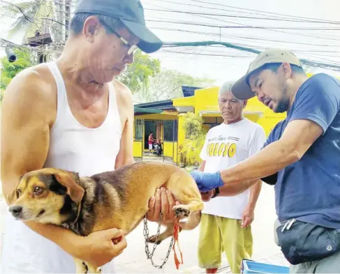  ?? ?? The Iloilo Provincial Veterinary Office is urging owners to have their pets vaccinated against rabies. Iloilo recently logged another human death due to rabies.