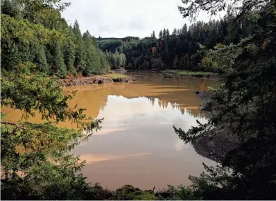  ?? PHOTOS BY ABIGAIL DOLLINS/STATESMAN JOURNAL ?? Foster Lake, the city of Sweet Home’s water source, has turned the color of chocolate milk, filled at times with 14 times as much sediment as normal.