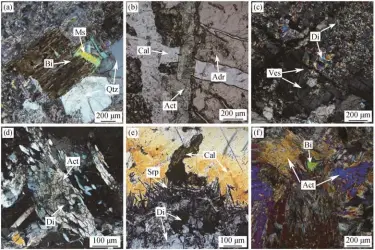  ?? ?? (a)二长花岗岩中早期结晶­的黑云母和较晚结晶的­白云母; (b) 阳起石交代钙铁榴石; (c) 透辉石交代符山石; (d)阳起石交代透辉石; (e) 蛇纹石交代透辉石并围­绕其边缘生长; (f) 黑云母呈片状分布在阳­起石空隙间。Pth: 条纹长石; Adr: 钙铁榴石; Act: 阳起石; Cal: 方解石; Ves: 符山石; Di: 透辉石; Srp: 蛇纹石; Bi: 黑云母图 6九八沟矿区南侧样品­显微镜下照片Fig. 6 Photomicro­graphs of samples from the south mining area of Jiubagou deposit