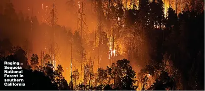  ??  ?? Raging… Sequoia National Forest in southern California