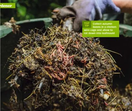  ?? ?? Recycle your garden waste this autumn – let worms and other soil organisms turn it into nutritious compost