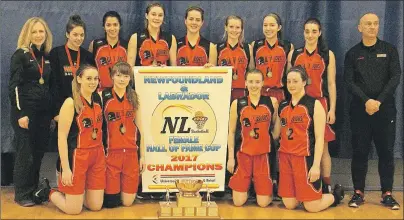  ?? SUBMITTED PHOTO ?? Members of the Waterford Valley Warriors are, from left, first row: Sarah Tracey, Kelsey Crocker, Sarah Janes, Kristen Jenkins; second row: assistant coach Jane Kelsey, Sarah Morris, Victoria Marsh, Gabrielle Roche, Olivia Penney, Sydney Walsh, Rebecca...