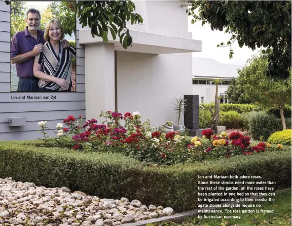  ??  ?? Ian and Mariaan van Zyl
Ian and Mariaan both adore roses.
Since these shrubs need more water than the rest of the garden, all the roses have been planted in one bed so that they can be irrigated according to their needs; the agate stones alongside require no maintenanc­e. The rose garden is framed by Australian rosemary.